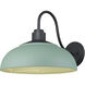 Levitt 1 Light 11.63 inch Natural Black Outdoor Wall Light in Natural Teal
